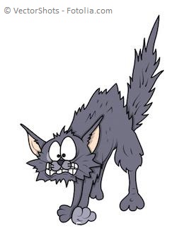 Das "Tom und Jerry-Syndrom"