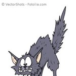 Erschrockene Katze