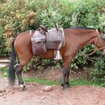 Paso Peruano