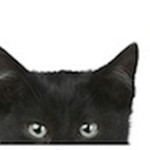 Katzen-Neugier