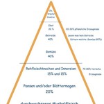 Die Futterpyramide für Hunde
