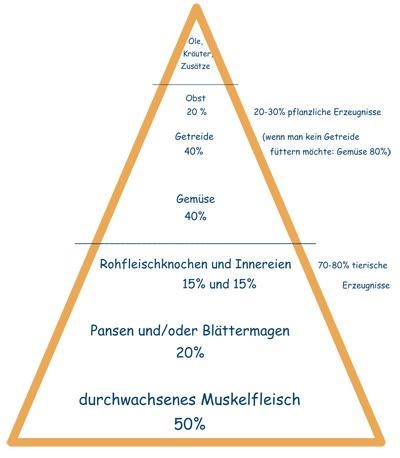 Die Futterpyramide für Hunde