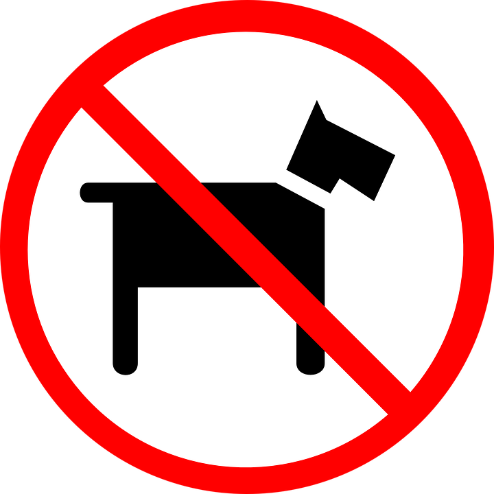 Hunde