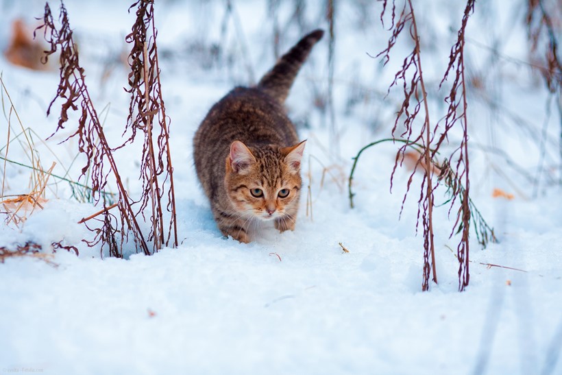 © vvvita - Fotolia.com
