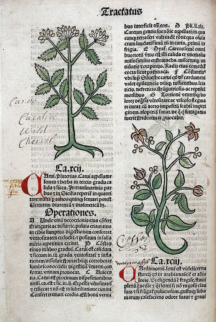 Kräuter, Ärzte, Apotheken