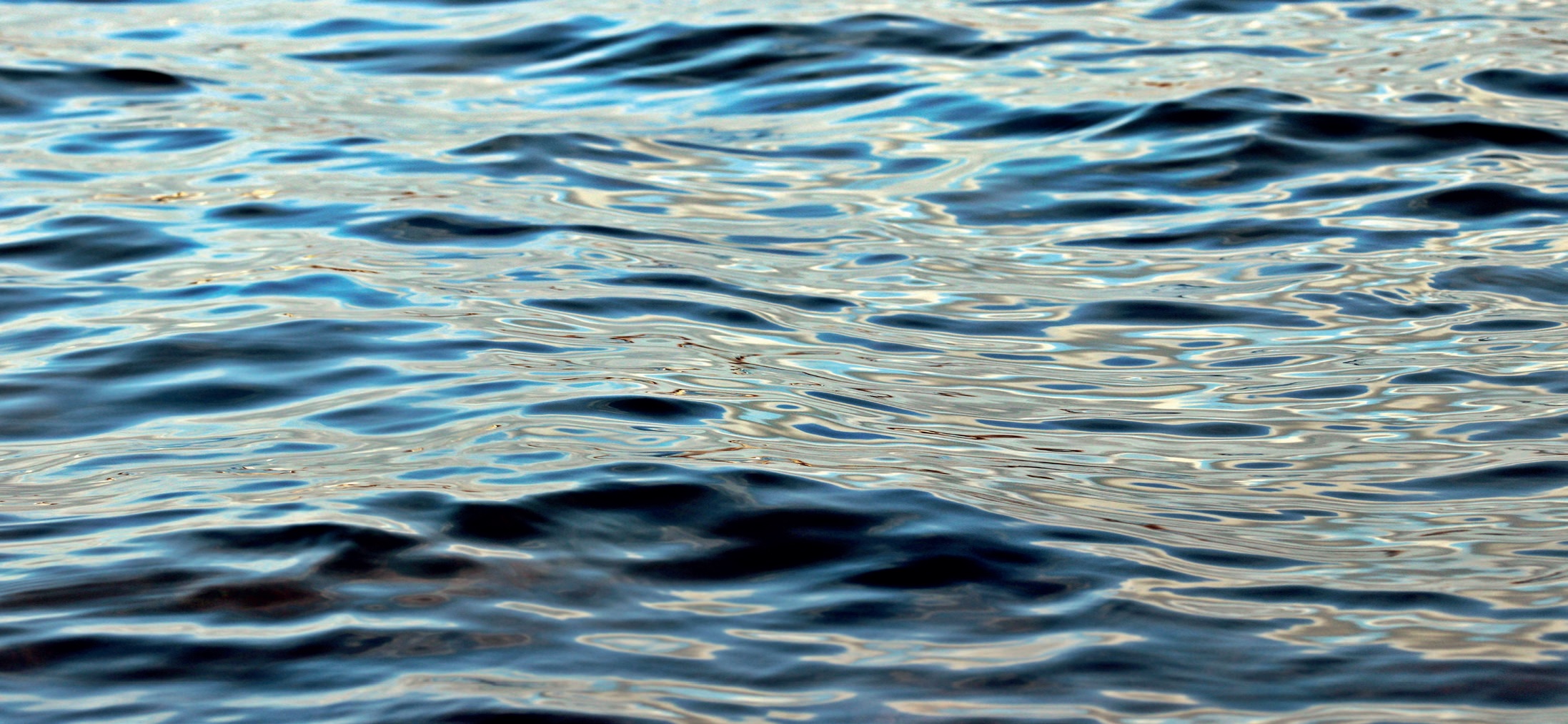 Wasser – ein hervorragender Informationsträger