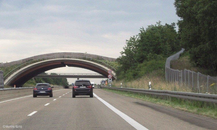 Grünbrücke Heinzenberg in der Eifel