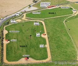 Paddock Trail