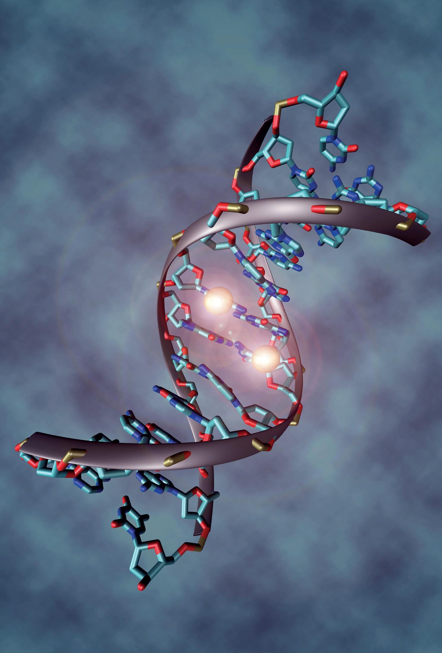 Epigenetik