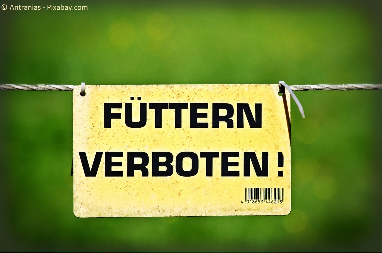 Equines Metabolisches Syndrom (EMS)