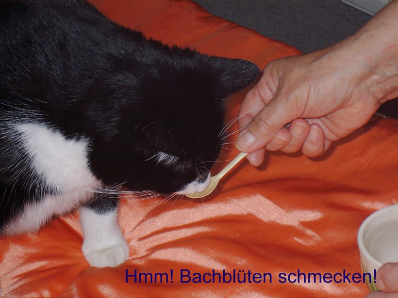 © Barbara Teichmann