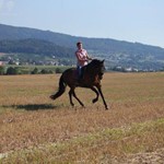 Eveline Tejero und Lucero im Gelände