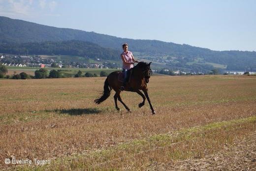 Eveline Tejero und Lucero im Gelände