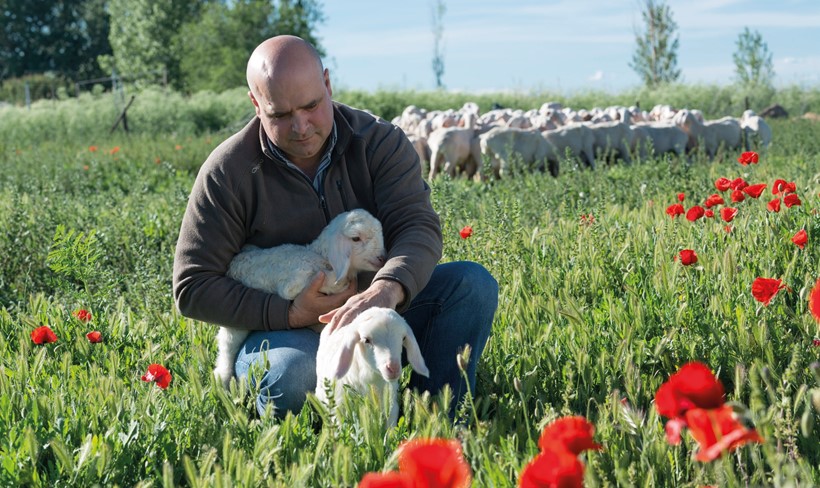 Schafzüchter Antonio Marqués auf seiner Farm in der Nähe von Madrid